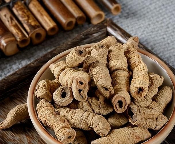 《黄帝内经》灵枢·根结