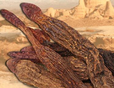 淫羊藿好还是玛卡好 推荐使用淫羊藿保健品